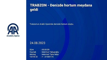Deniz manzarasını görmek istediler: Gördükleri karşısında şok oldular