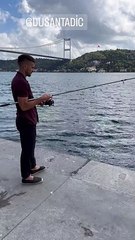 Tadiç Boğaz'da balık tuttu. Fenerbahçe taraftarından Trabzonspor'a olay gönderme