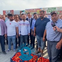 Çiftçiler kasa kasa domatesi döküp Erdoğan'a seslendi. "Boykota devam"