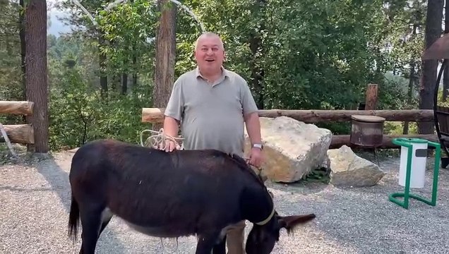 Cemal Enginyurt'tan eşekli protesto. Zam üstüne zam yapan AKP'yi hedef aldı