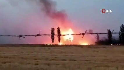 Çorum'da anız yangını. Yüzlerce ağaç küle döndü