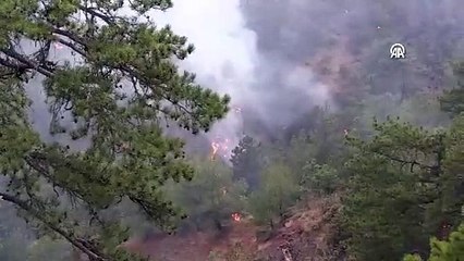 Bolu'daki orman yangınında soğutma çalışması sürüyor