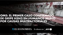 OMS: el primer caso confirmado de gripe H5N2 en humanos murió por causas multifactoriales