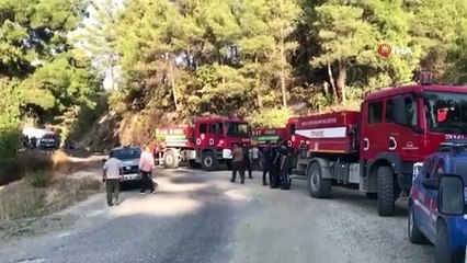 Hatay’da çıkan orman yangını kısa sürede söndürüldü