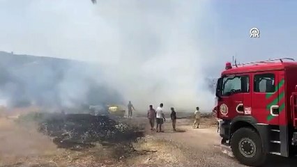 Kaş’ta jandarma kaplumbağayı yanmaktan son kurtardı