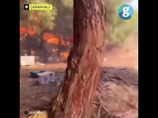 Çanakkale'deki yangının hayatları söndürdüğü anlar