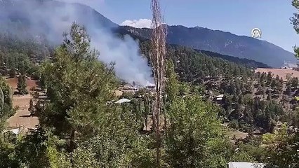 Adana'daki orman yangını söndürüldü