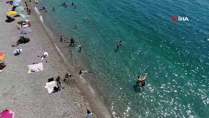 Denizden çıkardıklarıyla günde 2 bin lira kazanıyor: Kilosunu 7 liradan satıyor