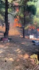 Yurttaşların yaşadığı panik kameraya yansıdı: Hayvanlarını kurtarmak için alevlerin arasına daldı