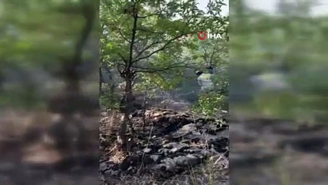 Ormanlık alanda çıkan yangın saatler sonra kontrol altına alındı
