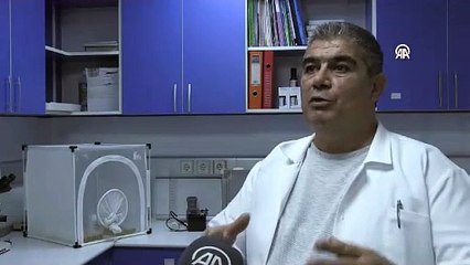 Türkiye için sivrisinek istilası tehlikesi. Ege ve Akdeniz’de hızlı şekilde yayılıyor