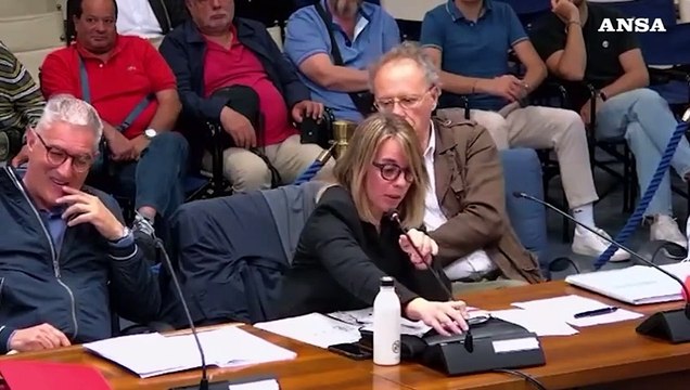 Cita la Costituzione anti-fascista , consigliera del Pd insultata