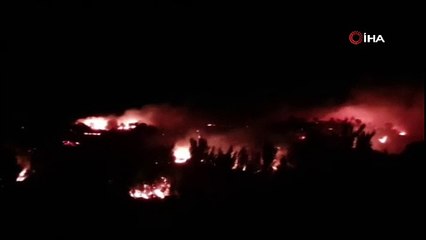 Dağlık alanda yangın