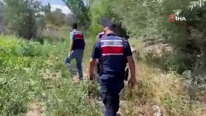 Mısır tarlasına dron destekli uyuşturucu operasyonu
