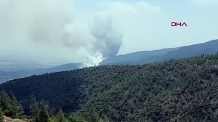 Hatay'da orman yangını