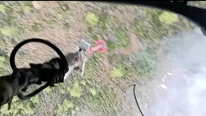 Marmaris büyük yangınların yıldönümüne yangınla uyandı