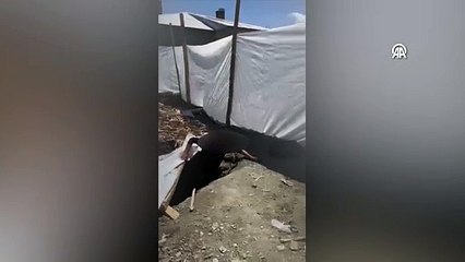 Metruk evden 3 sığınmacı saklarken yakalandı