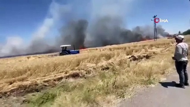 60 dönüm buğday tarlası alevlere yenik düştü