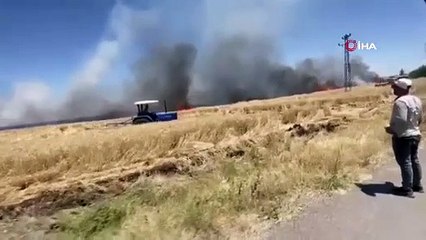 60 dönüm buğday tarlası alevlere yenik düştü