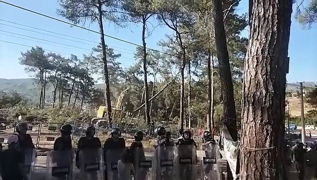 Akbelen'de yarı kesilmiş ağacı direnişçilere bilgi vererek kestiler. Yuh sesleri yükseldi