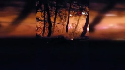 Önce evini, sonra ormanı yakmaya kalktı