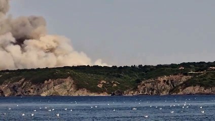 Beykoz'da orman yangını