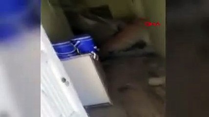 Depremde dağdan kopan kaya parçası eve girdi.Büyük hasar oluştu