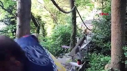 Kayalıklardan düşen genç trenle ambulansa götürüldü
