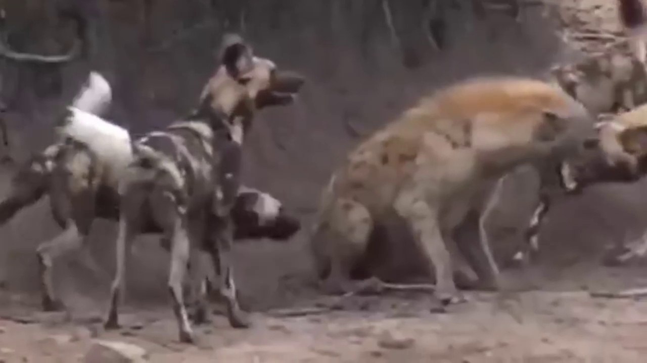 Attack from all sides