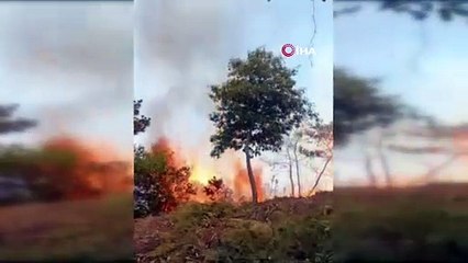 Meksika’da orman yangını: 10 ev tahliye edildi