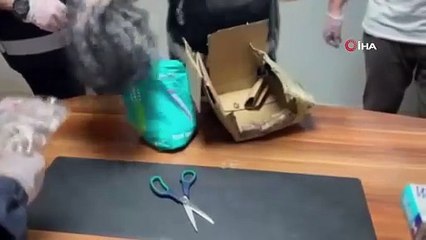 İstanbul'da tarihi eser operasyonu: 2 bin 330 eser ele geçti