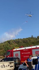 Milas'ta orman yangını 4 saat sonra kontrol altına alındı