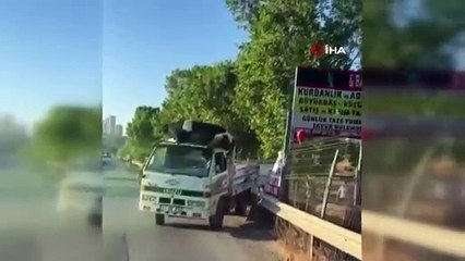 Boğa kamyonetten düştü