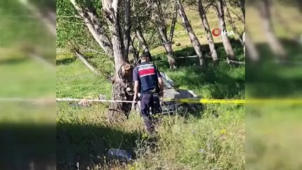 Otomobil ağaca çarptı: 1 yaşındaki bebek hayatını kaybetti 3 kişi ağır yaralandı