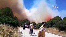 İzmir'in iki ilçesinde aynı anda orman yangını. Vatandaşlar tahliye ediliyor