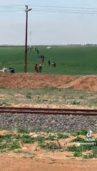 Sınırdan kaçak geçenlere taşıma hizmeti. Sonunda bunu da gördük