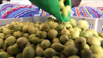 World Intellectual Property Organisation agrees to new treaty