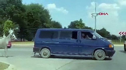 Minibüsüne bağladığı atı arkasından koşturan sürücüye gözaltı kararı