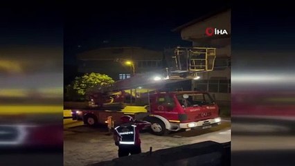 Ağaçta mahsur kalan kediyi itfaiye kurtardı