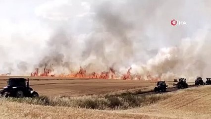 Bin dönüm buğday tarlası küle döndü