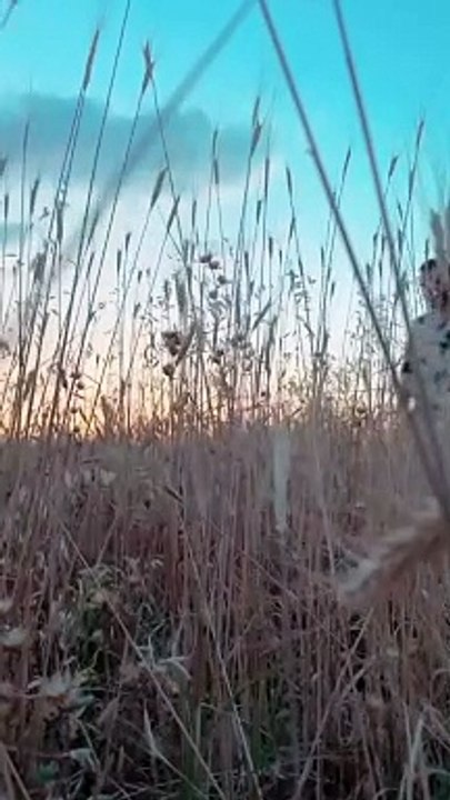 Aşk-ı Memnu'nun Cemile'si Pelin Ermiş aşkını ilan etti