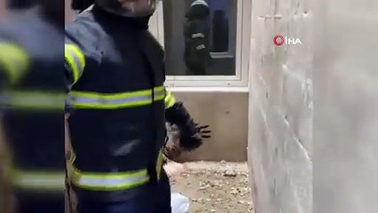 Apartman boşluğunda mahsur kalmıştı. Şahin kurtarıldı