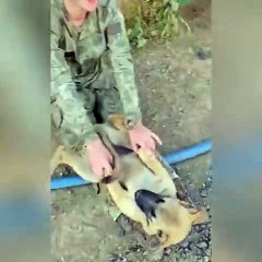 Türk askeri köpeği ayağında uyuttu. Video binlerce defa paylaşıldı