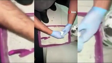 Kedi kumu polisleri şok etti. İçinden binlerce çıktı