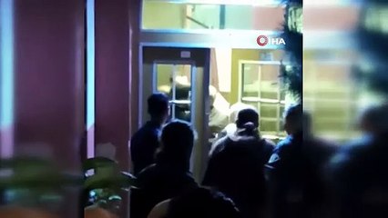 İstanbul'da vahşet. Bir sitede 20 kedi işkence edilerek öldürüldü. Ne istediniz bu masumlardan