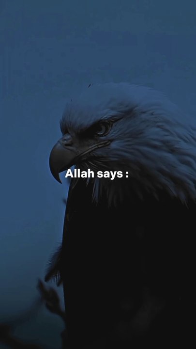 Islamic vedios #viral#trending