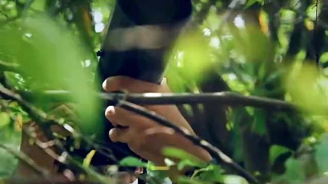 THY 90. yılını kutluyor. 90'ncı yıl için özel reklam filmi hazırlandı