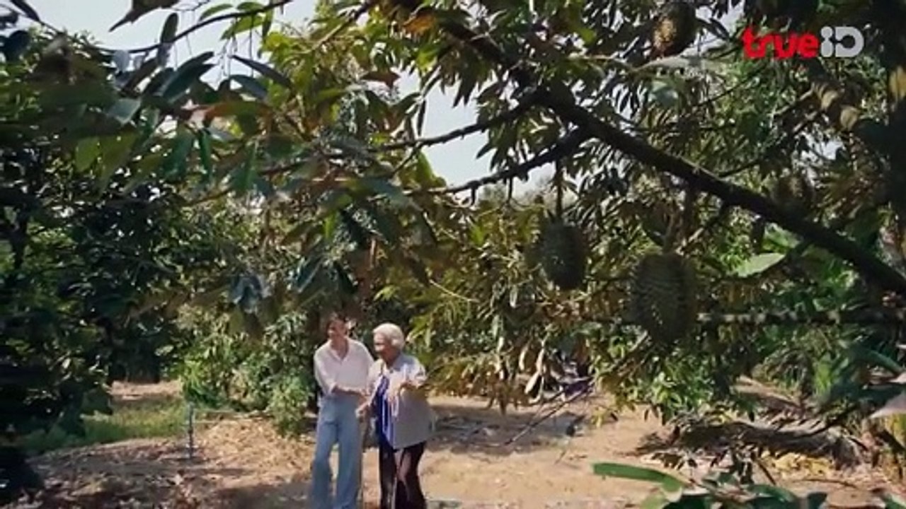 ทนายเดือด EP2