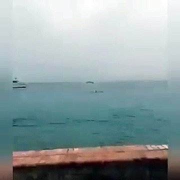 Görüntüler korkunç. Rus turist, köpek balığı tarafından öldürüldü. Kimse yardım edemedi