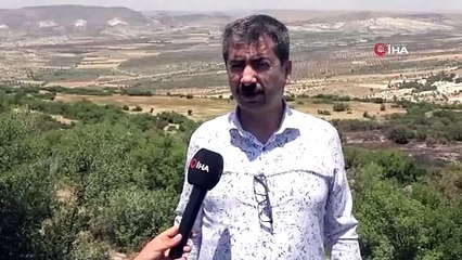 Orman yangınında 20 dönüm arazi kül oldu